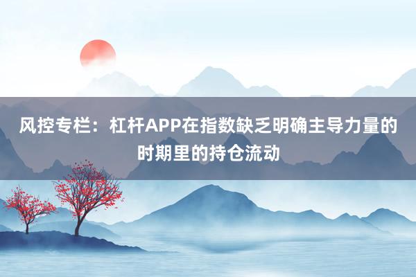 风控专栏：杠杆APP在指数缺乏明确主导力量的时期里的持仓流动