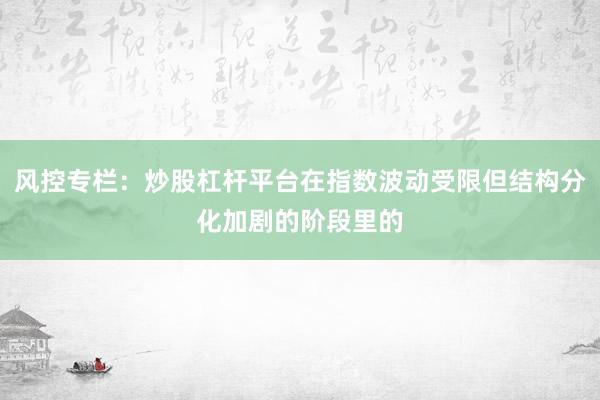 风控专栏：炒股杠杆平台在指数波动受限但结构分化加剧的阶段里的