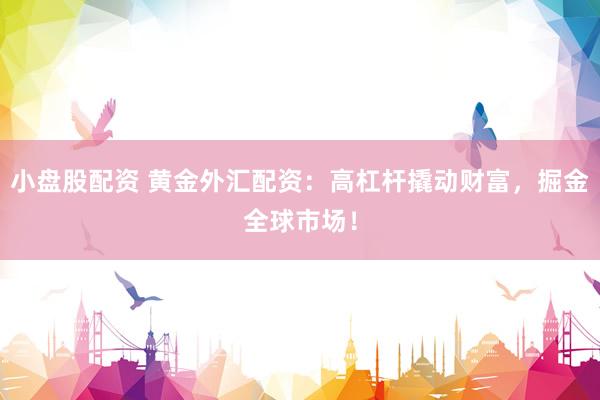 小盘股配资 黄金外汇配资:高杠杆撬动财富,掘金全球市场!