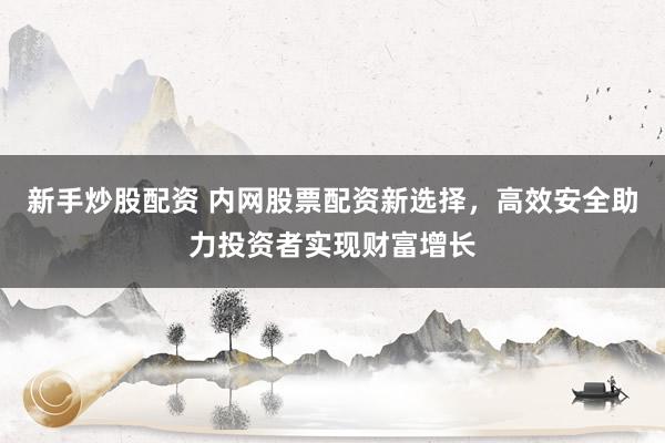 新手炒股配资 内网股票配资新选择，高效安全助力投资者实现财富增长
